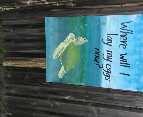 Sign with a turtle and the words "Where will I lay my eggs now?"