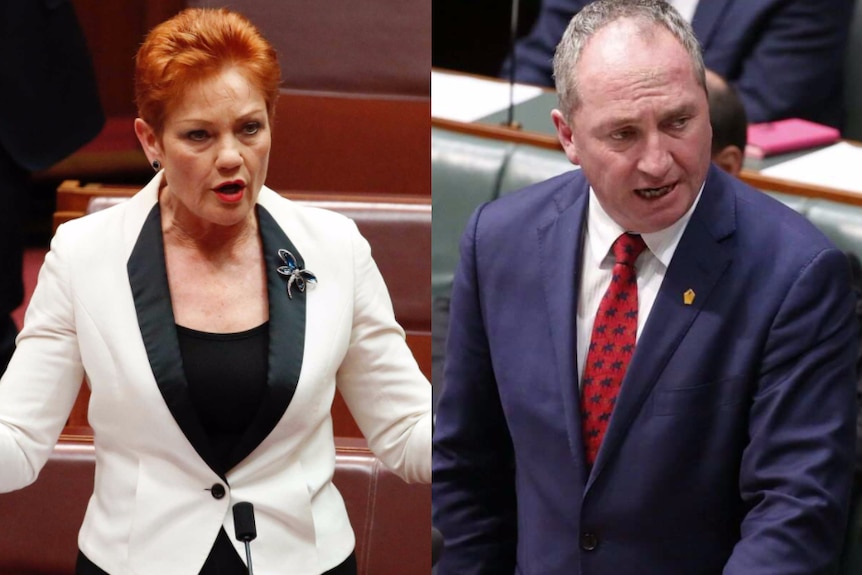 Pauline Hanson and Barnaby Joyce