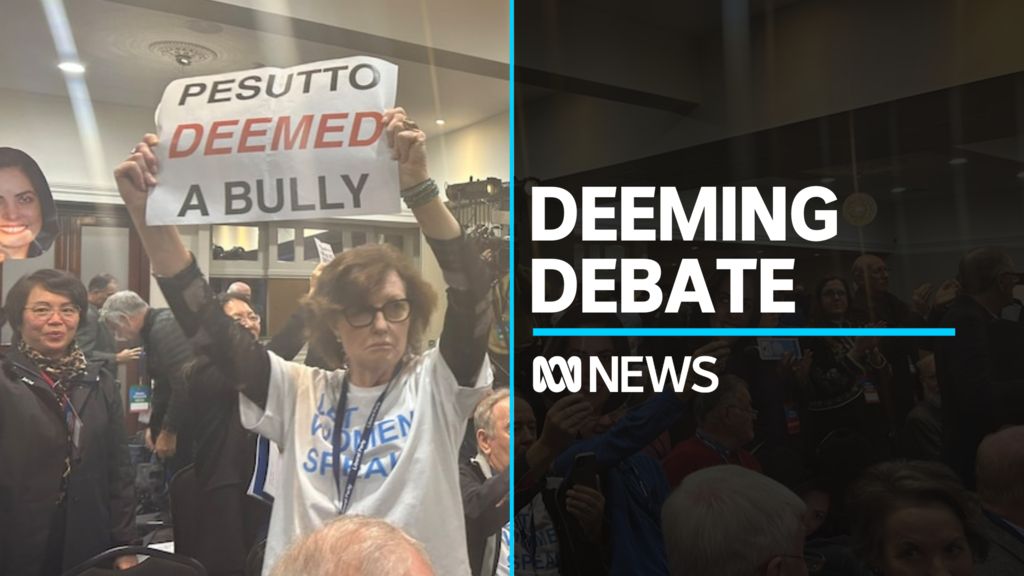 Moira Deeming debate dominates Victorian Liberal Party council meeting - Vimarsana News