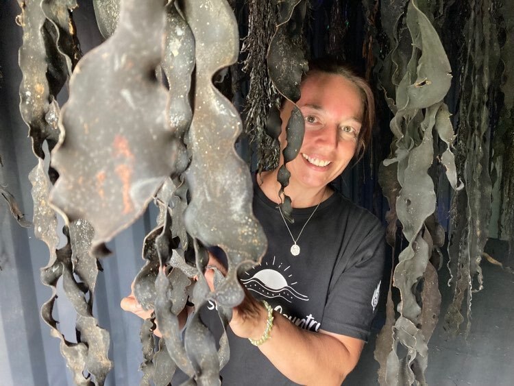 Play Audio. Duration: 5 minutes 50 seconds