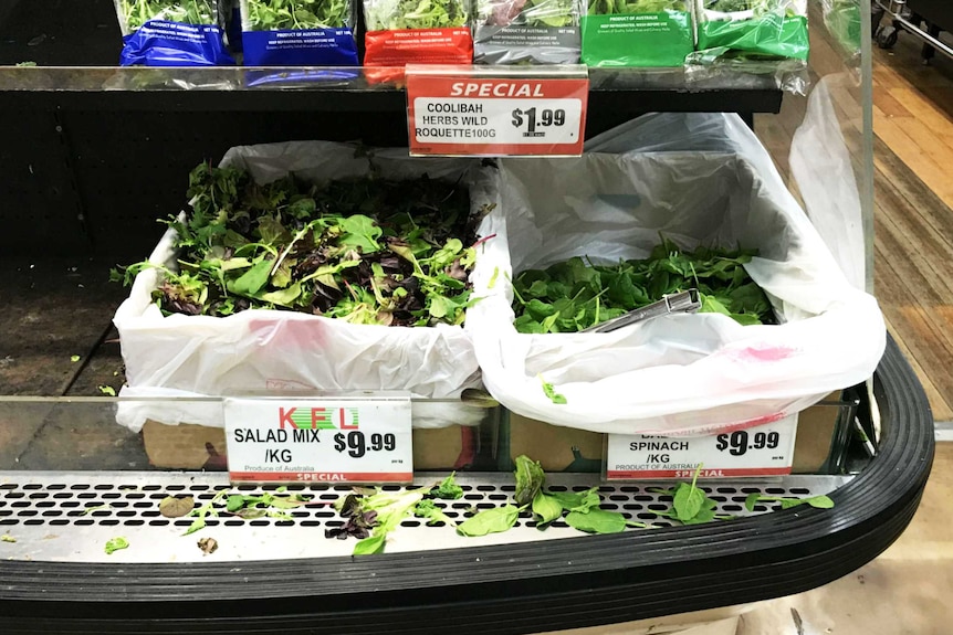 Boxes of spinach leaves and salad mix at a supermarket representing our reporter's attempt to go one week without plastic.
