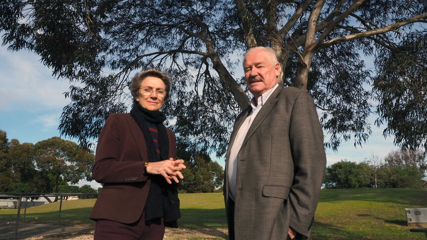 Labor MPs Sally Talbot and Mick Murray in front of a tree.
