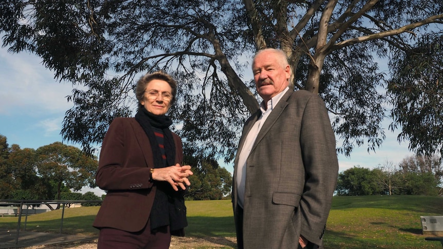 Labor MPs Sally Talbot and Mick Murray in front of a tree.