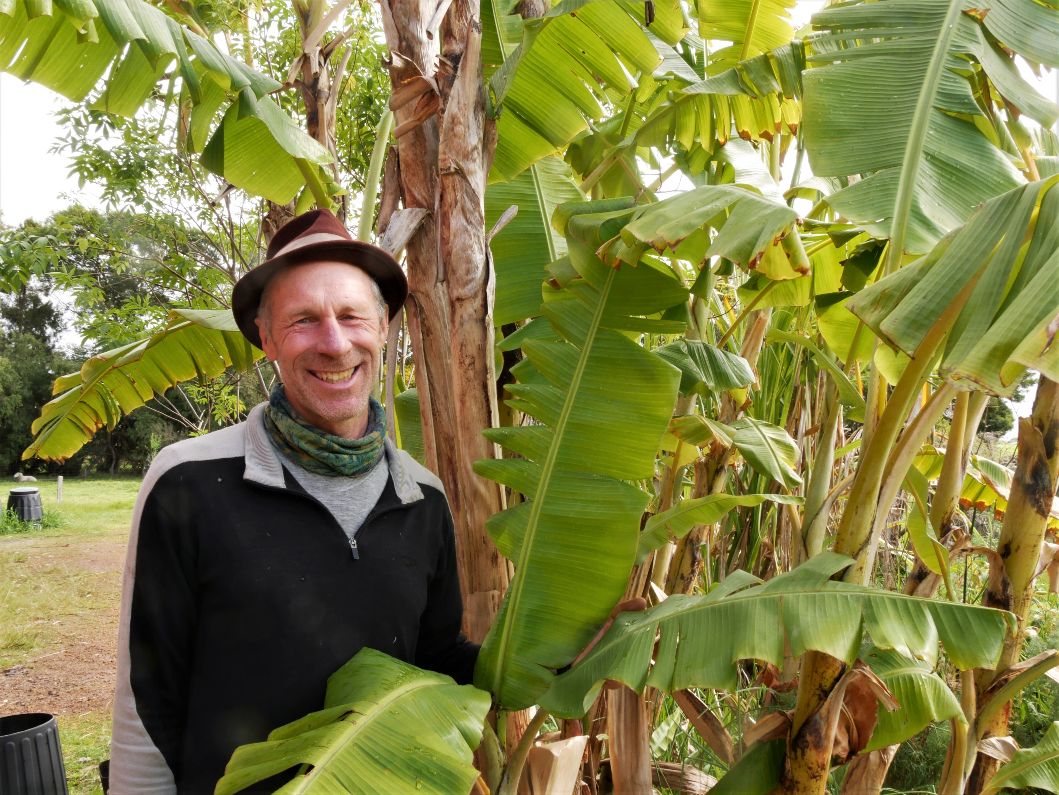 Man with banana tree