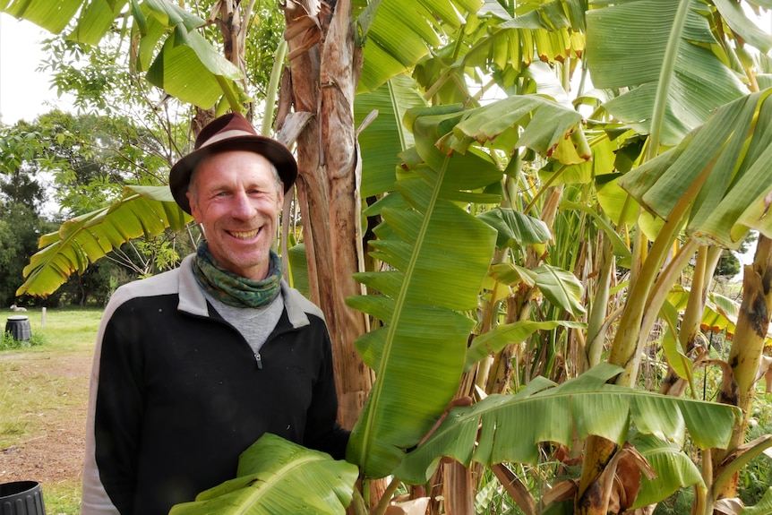 Man with banana tree