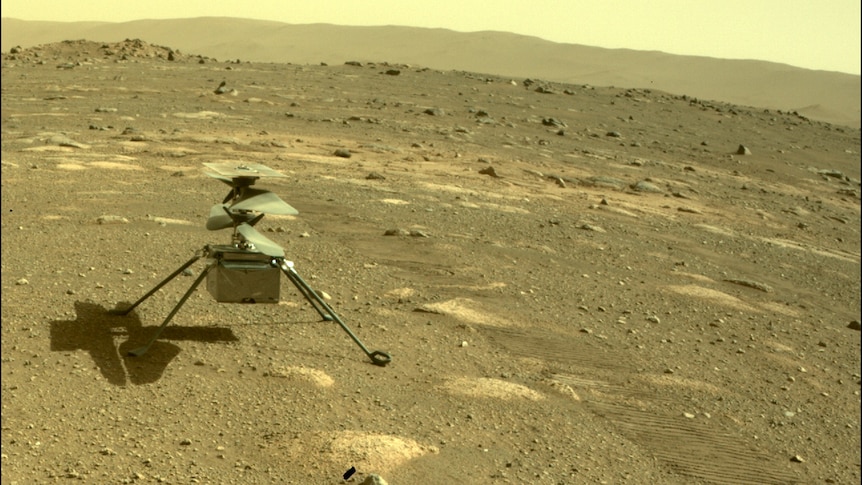 Creatividad de imagen de la tenacidad de Rover