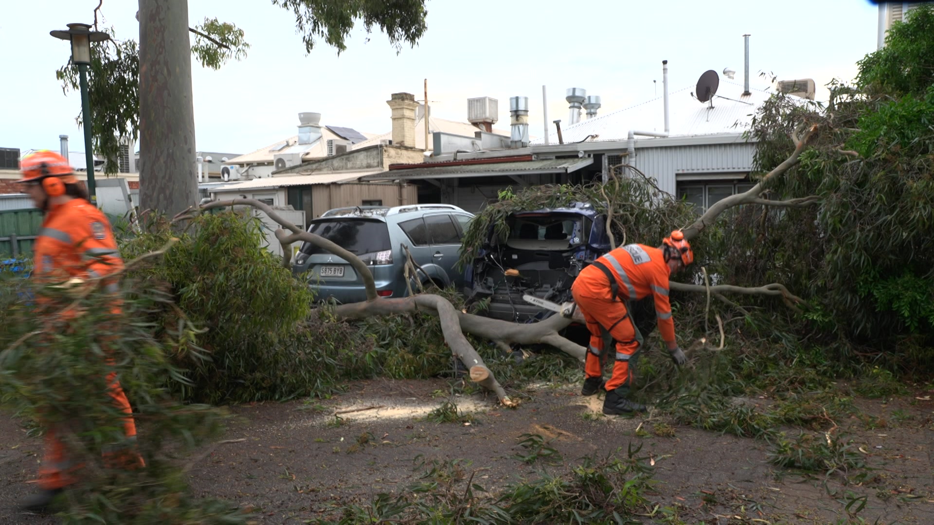 SES workers near a tree branch, one car has no boot