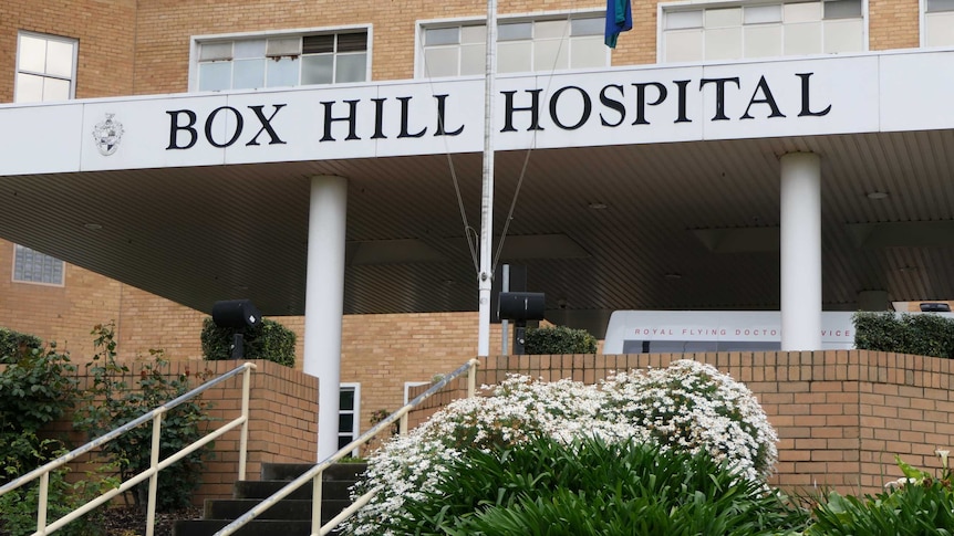 The exterior sign of the Box Hill Hospital, underneath which a bush of white flowers blooms next to a concrete staircase.