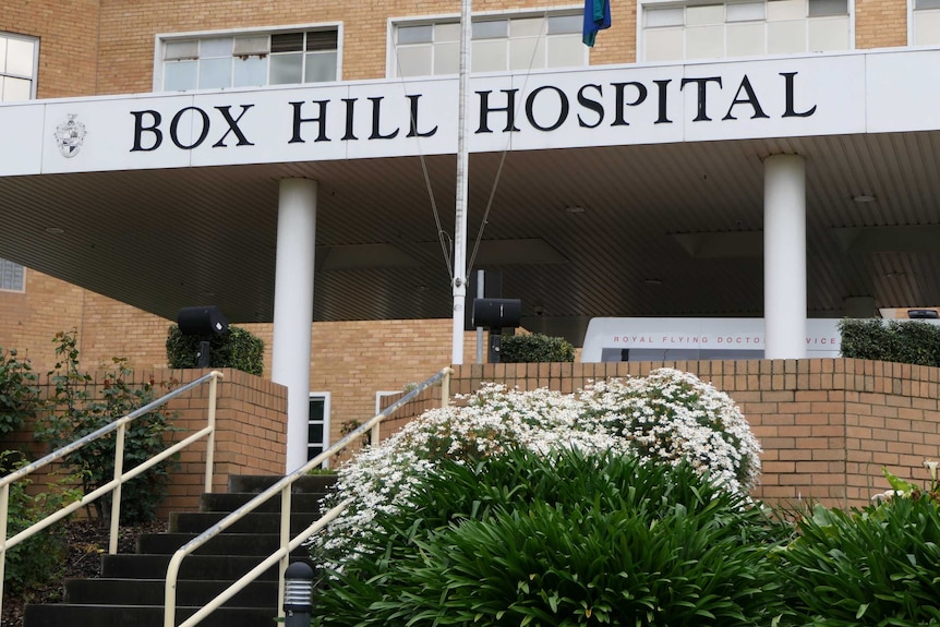 The exterior sign of the Box Hill Hospital, underneath which a bush of white flowers blooms next to a concrete staircase.