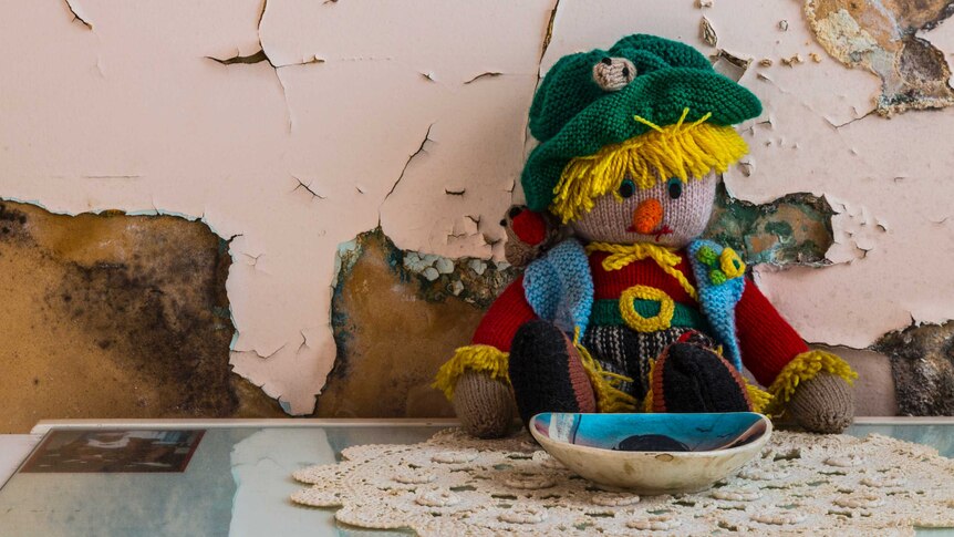 A child's toy sitting on a dresser next to a very mouldy wall.