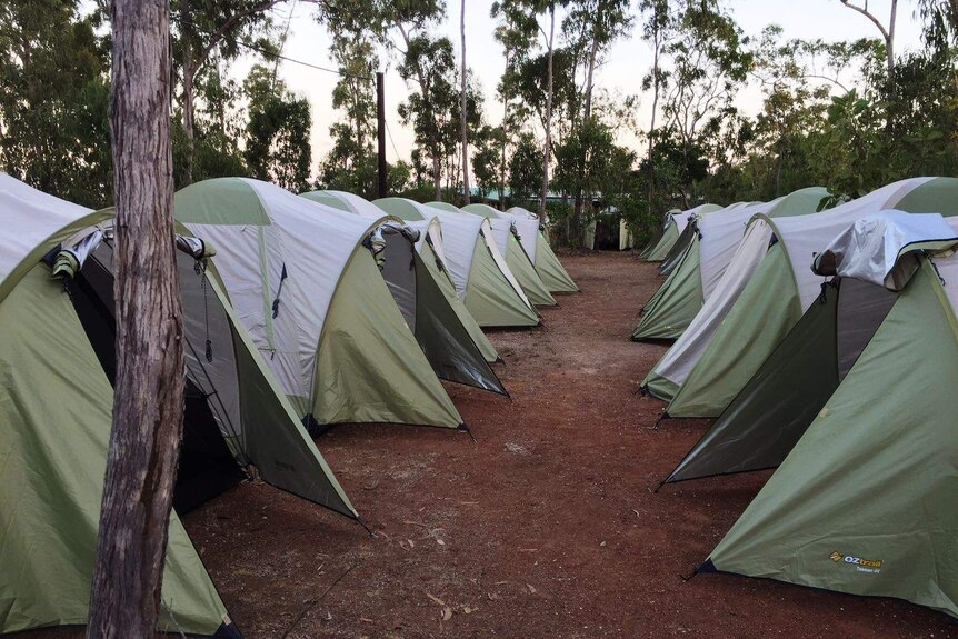 Tents lined up at Garma Festival.