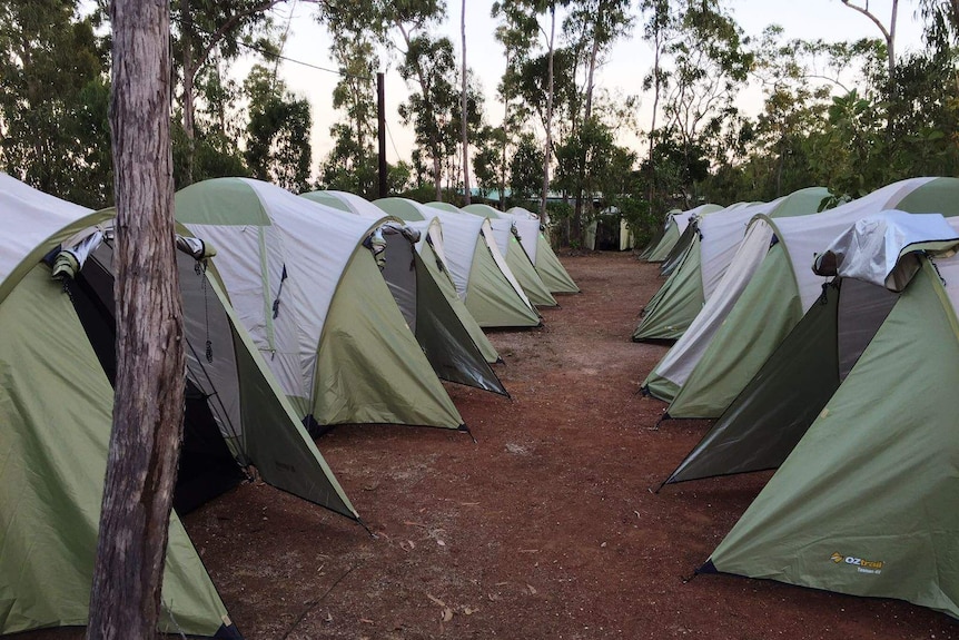 Tents lined up at Garma Festival.