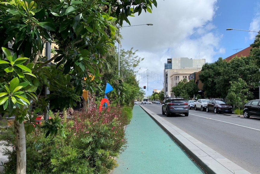 Lush trees line a bike lane running alongside a city street.