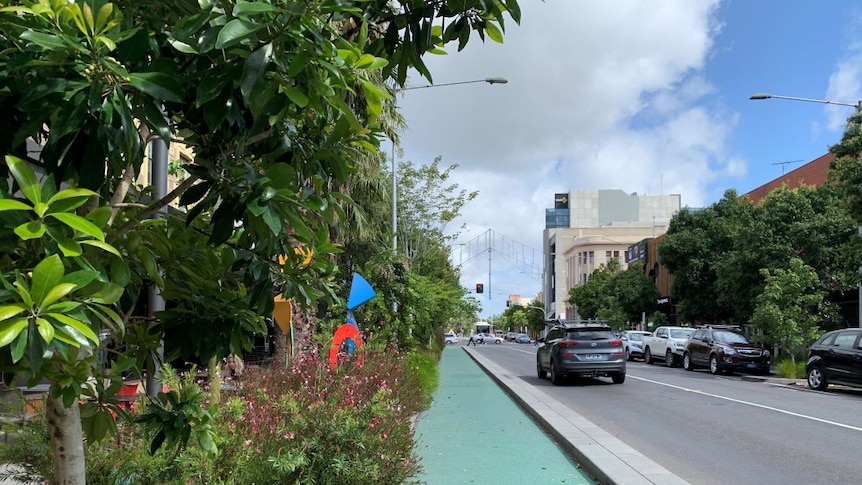 Lush trees line a bike lane running alongside a city street.