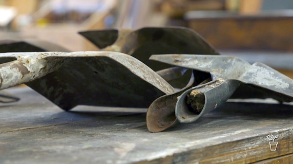 Old spade heads with broken wooden handle in the stem