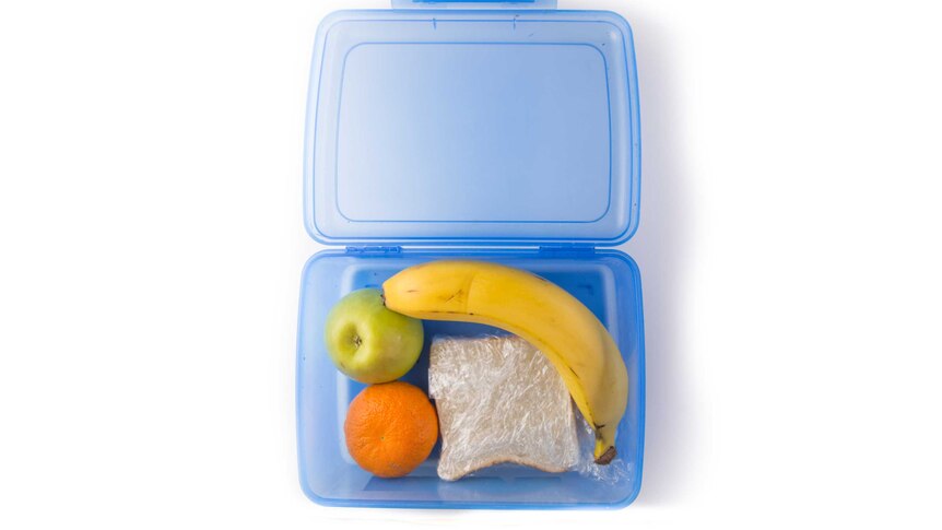 A ham sandwich, banana, mandarin and apple in a clear blue lunch box.