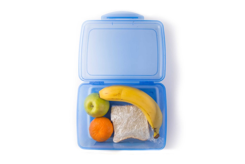 A ham sandwich, banana, mandarin and apple in a clear blue lunch box.