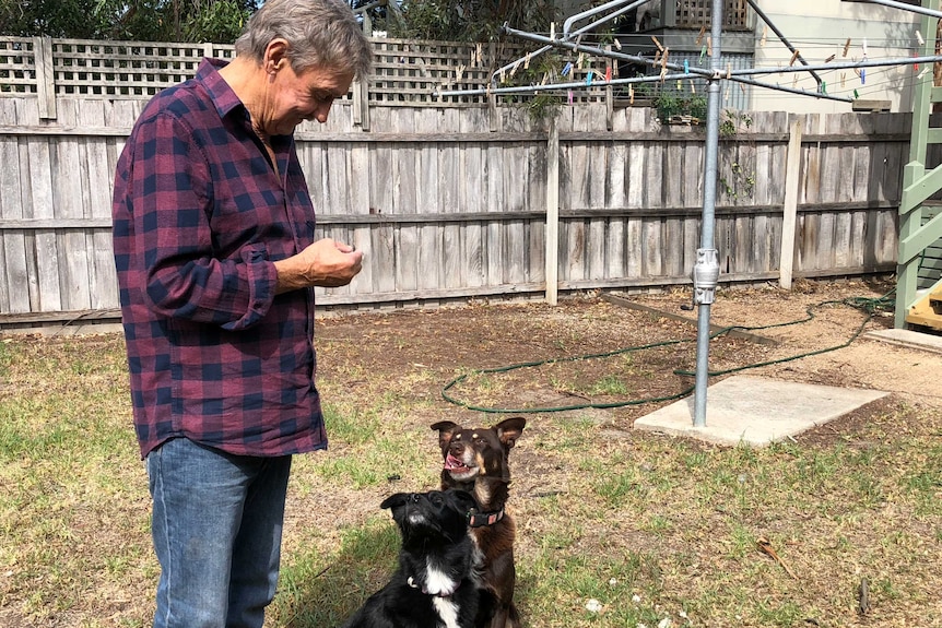 A man stands in a backyard with two dogs