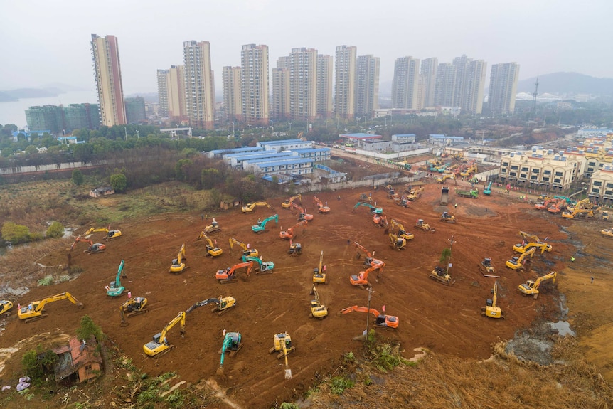 multiple cranes work dig dirt on a large vacant lot with trees and buildings behind