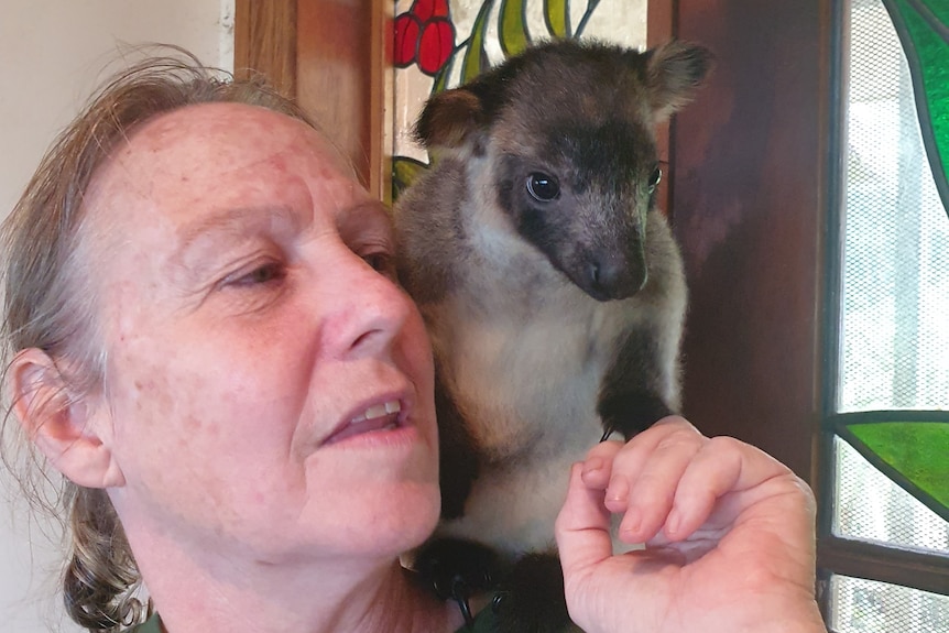 Lady with a tree kangaroo on her shoulder