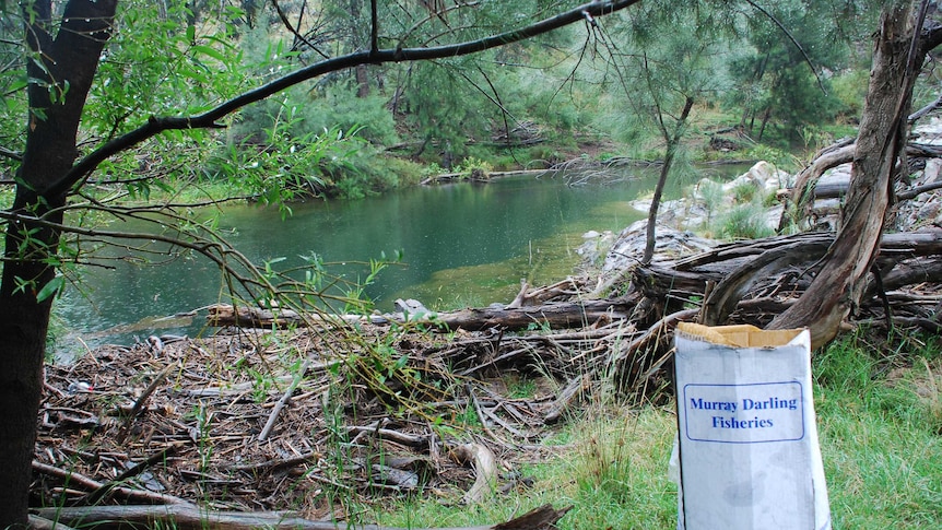 A bag saying Murray Darling fisheries next to a stretch of river