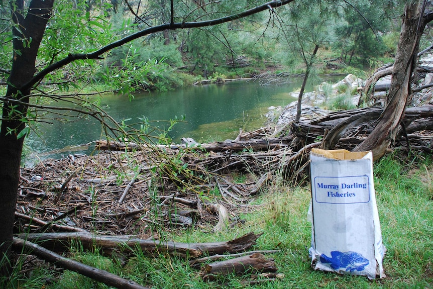 A bag saying Murray Darling fisheries next to a stretch of river