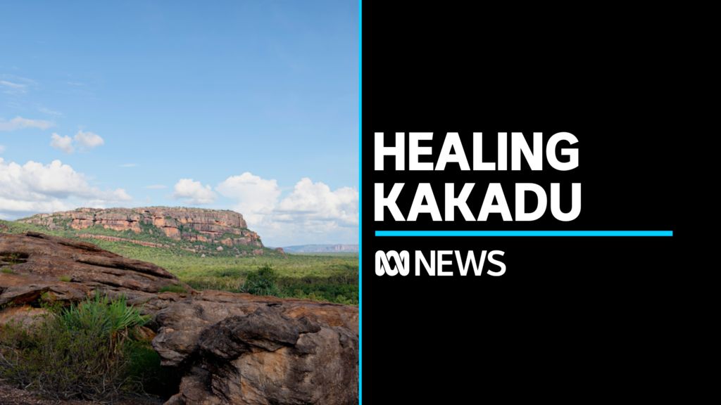 Healing Kakadu: Cleaning up the Ranger uranium mine - ABC News