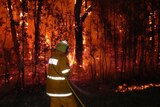 The NSW Rural Fire Service's Diamond Beach crew fights a fire at Green Point, south of Forster.