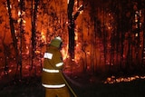 The NSW Rural Fire Service's Diamond Beach crew fights a fire at Green Point, south of Forster.