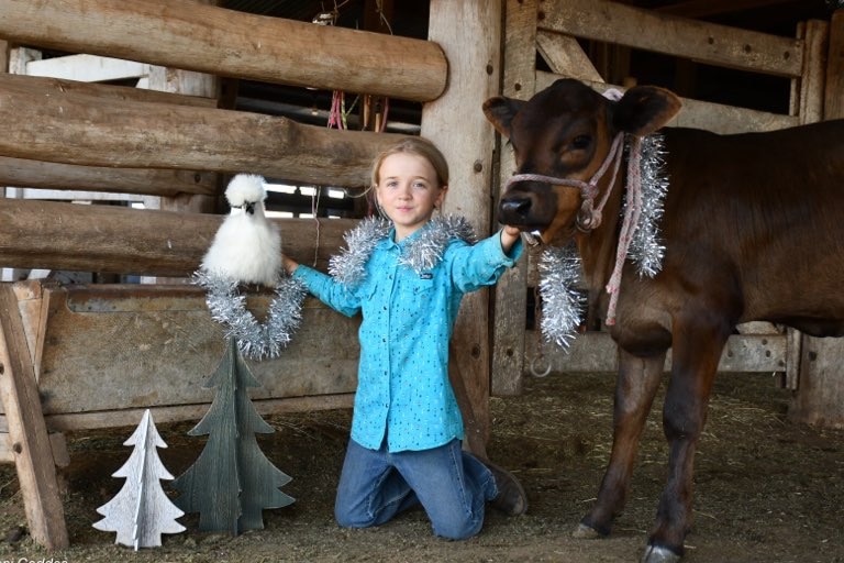 A girl kneels inside a stable, one hand rests on a cow and the other on a chicken, tinsel is draped over the girl and the cow.