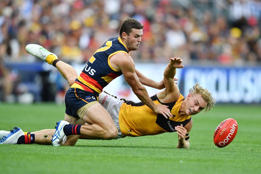 Hawthorn's James Worpel and Adelaide's Brad Crouch grapple on the ground as the ball bobbles away