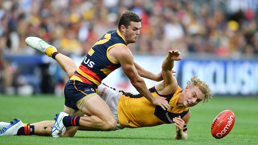 Hawthorn's James Worpel and Adelaide's Brad Crouch grappel on the ground as the ball bobbles away
