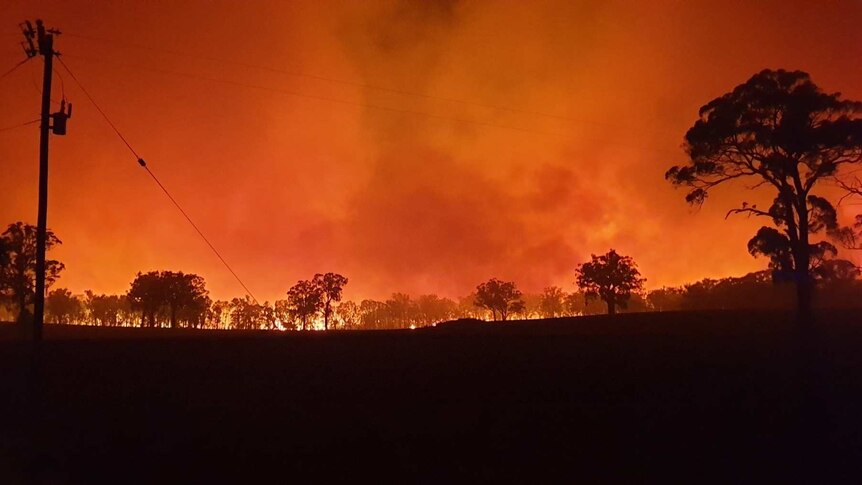 Fire looms on the boundary Topper's Mountain vineyard at night.