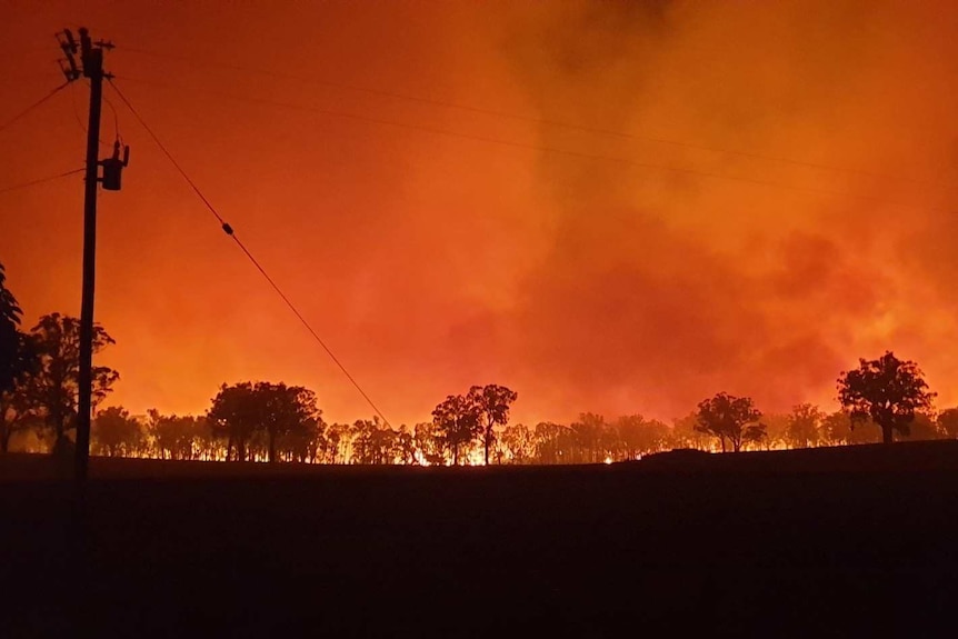 Fire looms on the boundary Topper's Mountain vineyard at night.