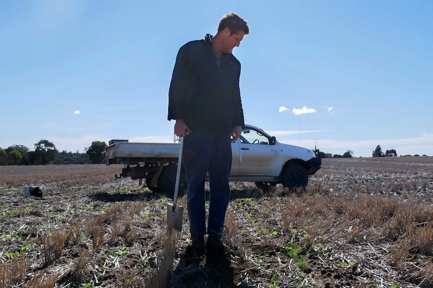 a man holding a shovel stands in a stubble-filled paddock looking at the soil. he stands in front of a hilux