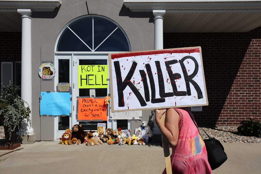 Protests outside the office of Dr Walter Palmer's dental clinic in Minnesota