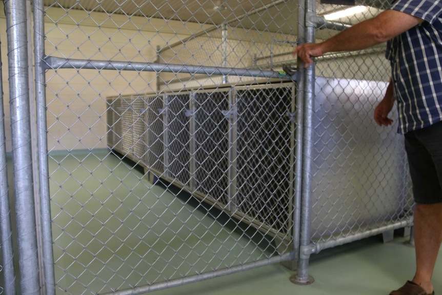 A metal cage door closed with a number of kennels in a row behind it.