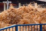 Freak event: Flash floods surge down a street in Toowoomba