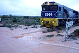 Floodwaters halt a coal train at Leigh Creek