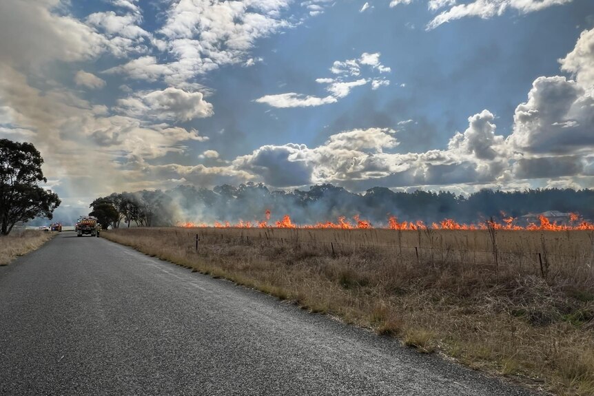 A grass fire burns in a field adjacent a bitumen road