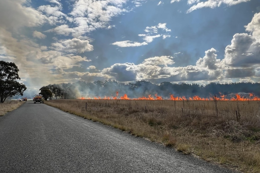 A grass fire burns in a field adjacent a bitumen road