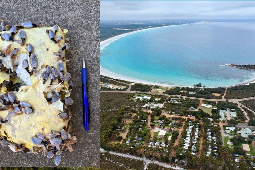 package with barnacles and aerial shot of cheynes beach