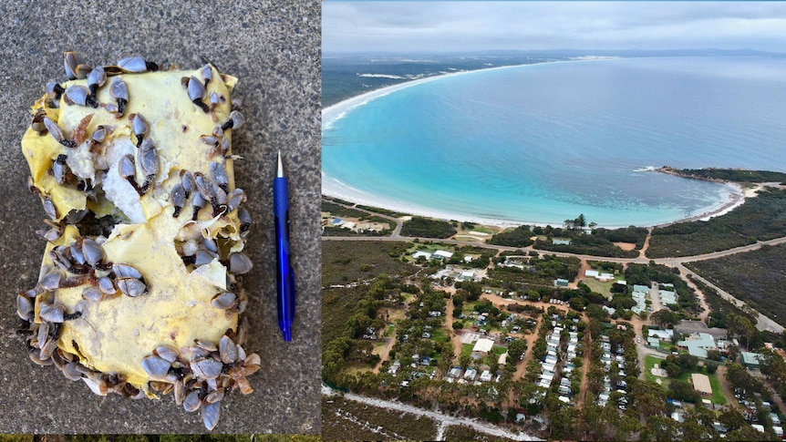 package with barnacles and aerial shot of cheynes beach