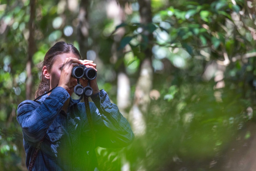 Scientist Lindsey Nietmann looks through binoculars, Iluka, NSW, 2016