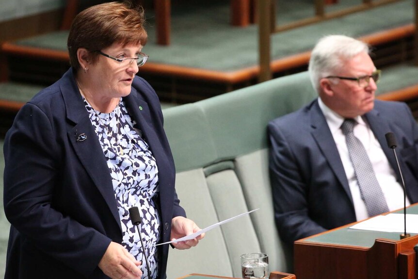Anne Stanley wearing glasses and a blazer stands at a microphone in federal parliament