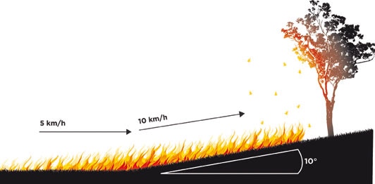 Un gráfico muestra cómo el fuego arde más rápido al subir una colina que en un terreno llano.