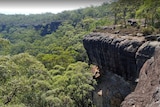 Rock lookout over bushland
