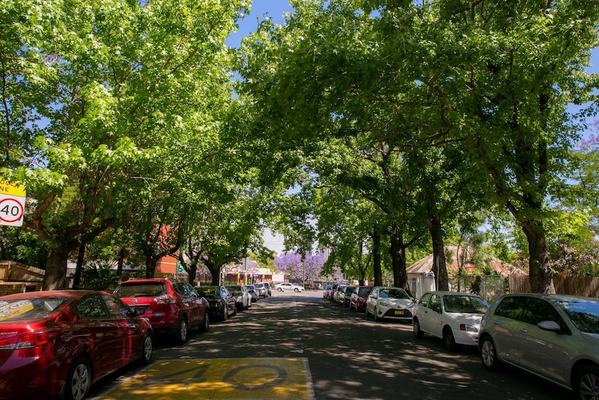 Galloway Street in North Parramatta