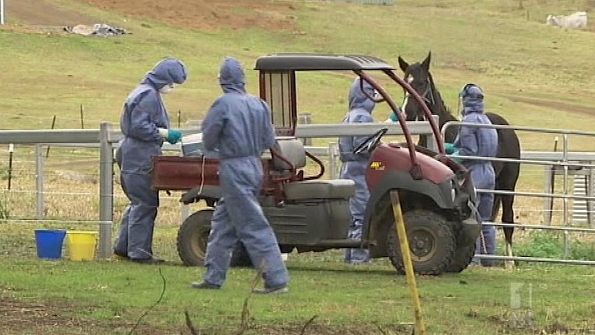 More workers will be tested at the Blazing Saddles horse trail riding property.