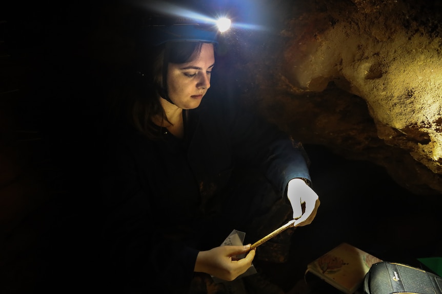 A woman wearing a helmet and a head torch holds a bone and a ziplock bag in a small cave